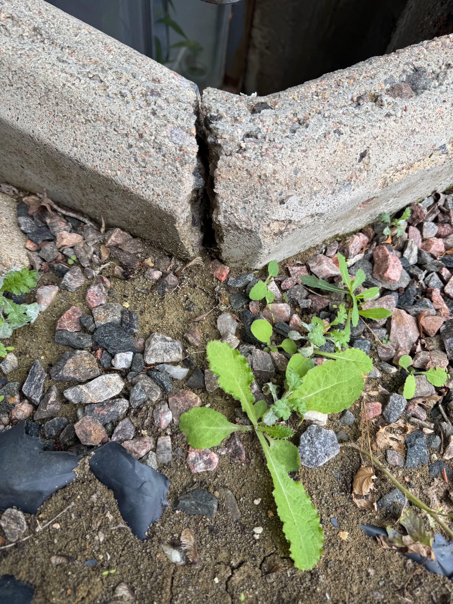 Gallery photos for Window Well Replacements and Maintenance Across Denver: Image #7