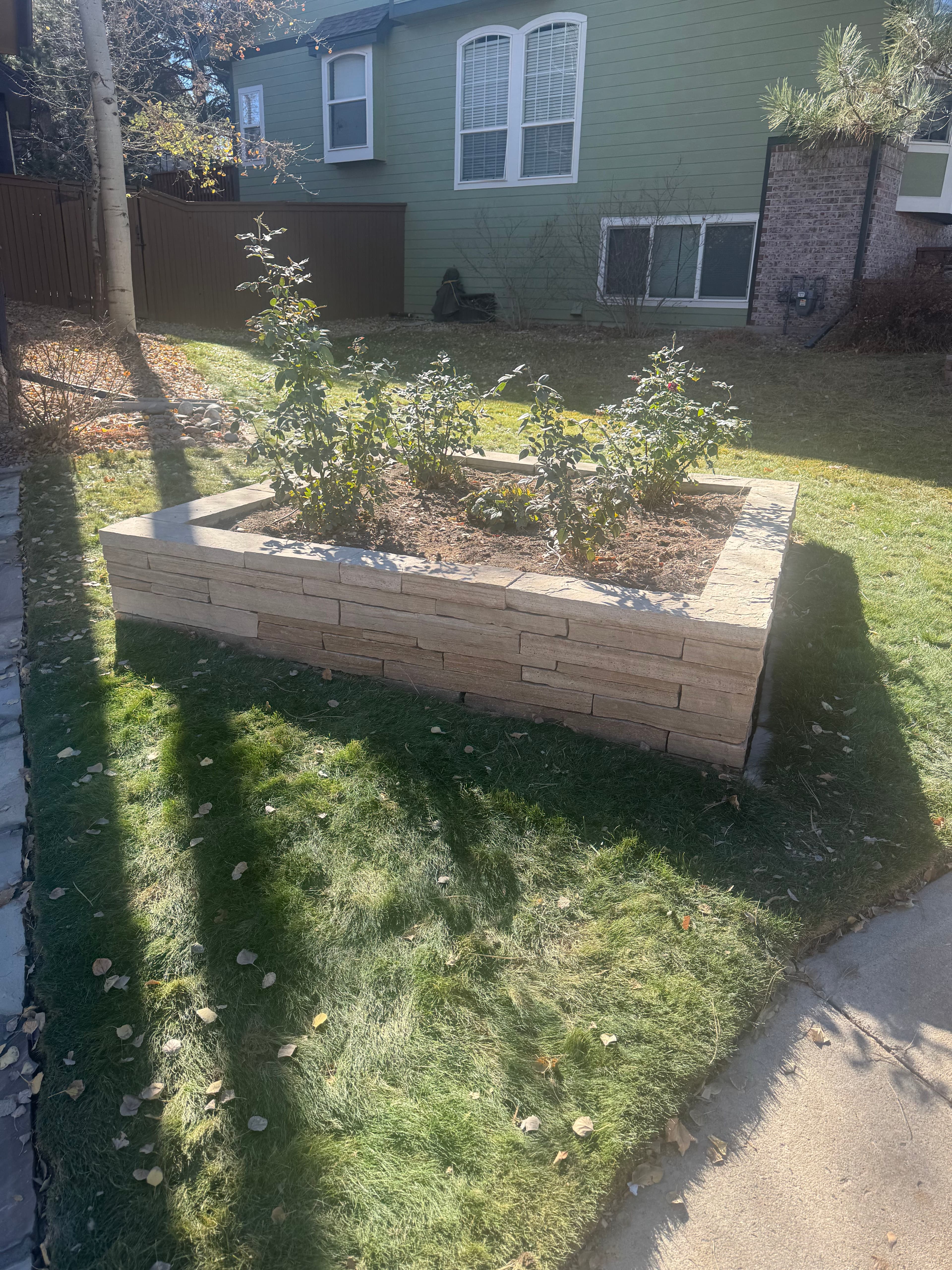 Project Colorado Outdoor Life Has Fresh Ideas for Your Yard image