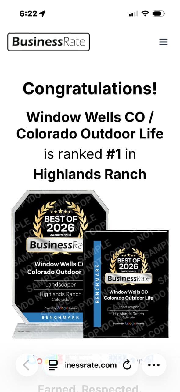 We're Ranked #1 in Highlands Ranch for Window Wells image