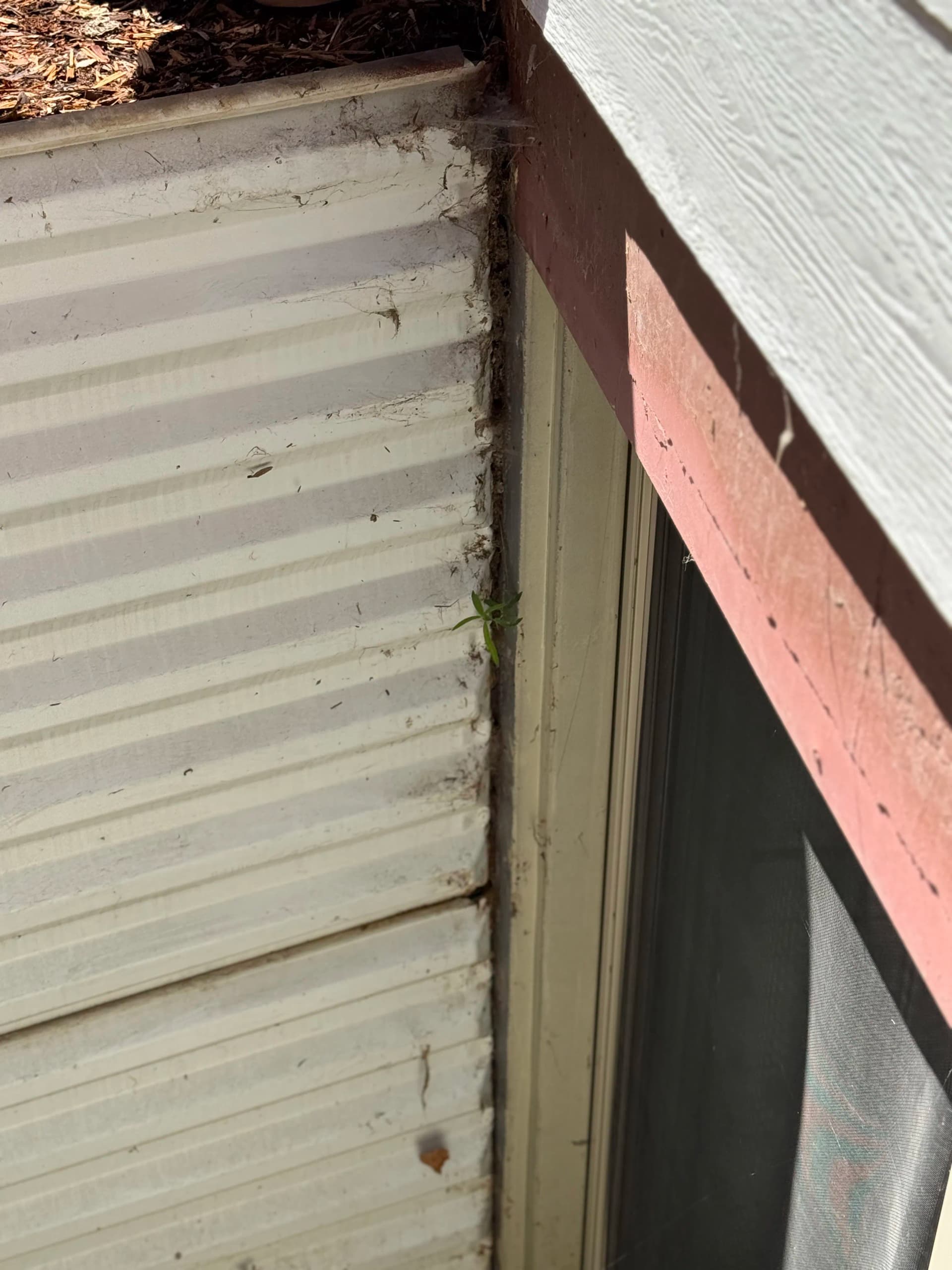 Gallery photos for Window Well Rust and Separation Is Quietly Wrecking Basements: Image #3