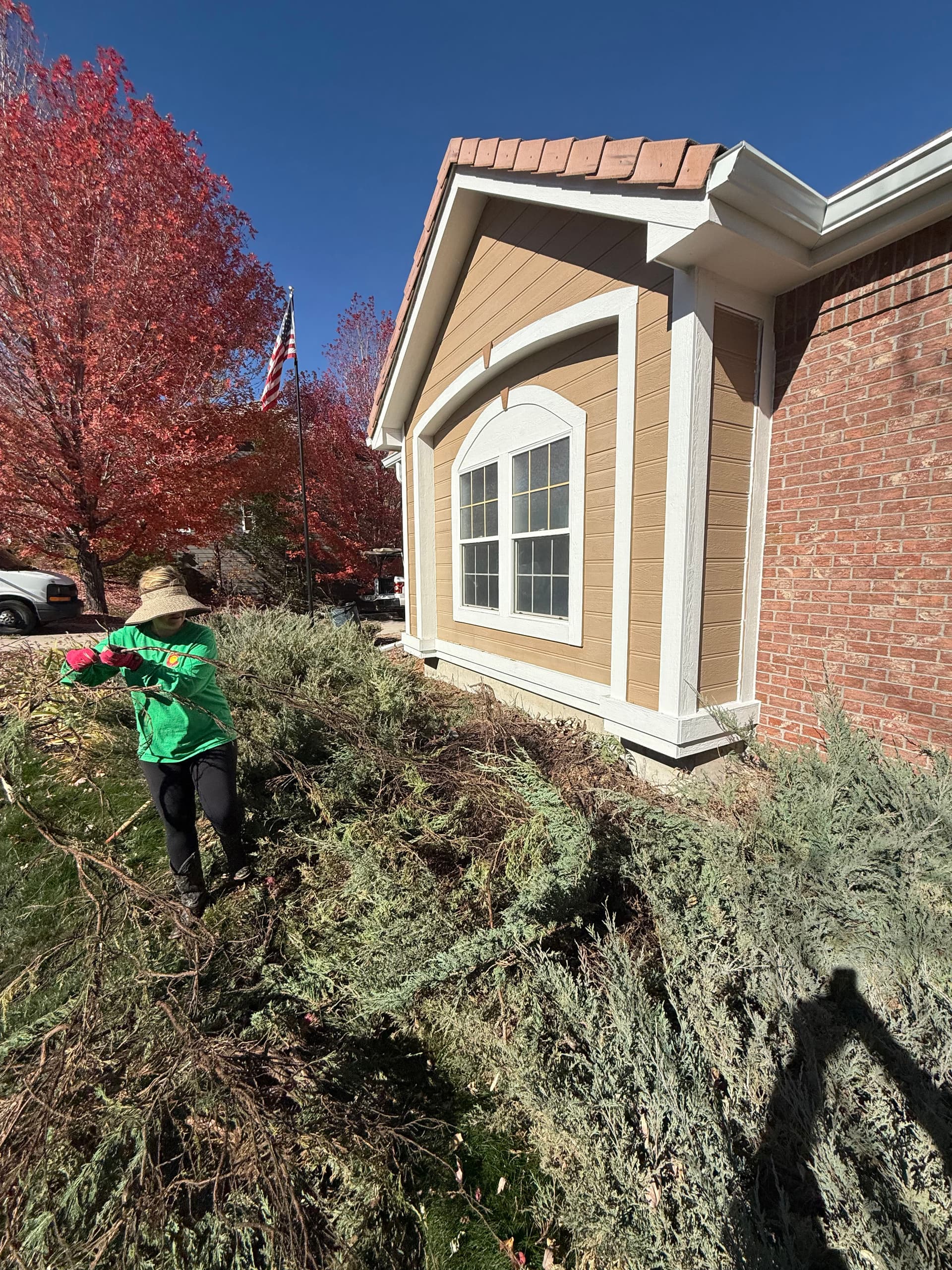 Gallery photos for Overgrown Junipers Out, Flagstone and Fresh Granite In: Image #5