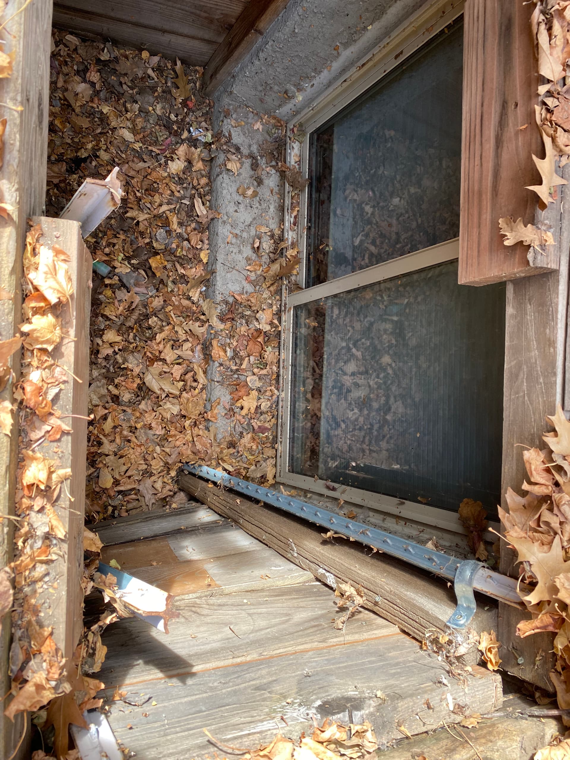 Gallery photos for Your Window Well Is Trying to Tell You Something: Image #8