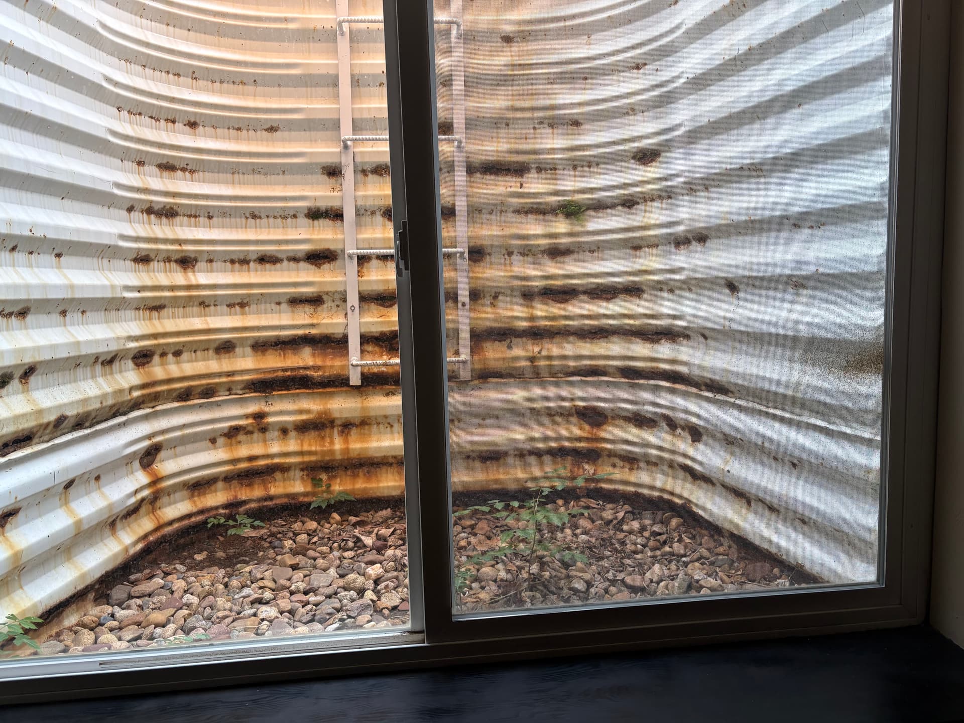 Gallery photos for Your Window Well Is Trying to Tell You Something: Image #1