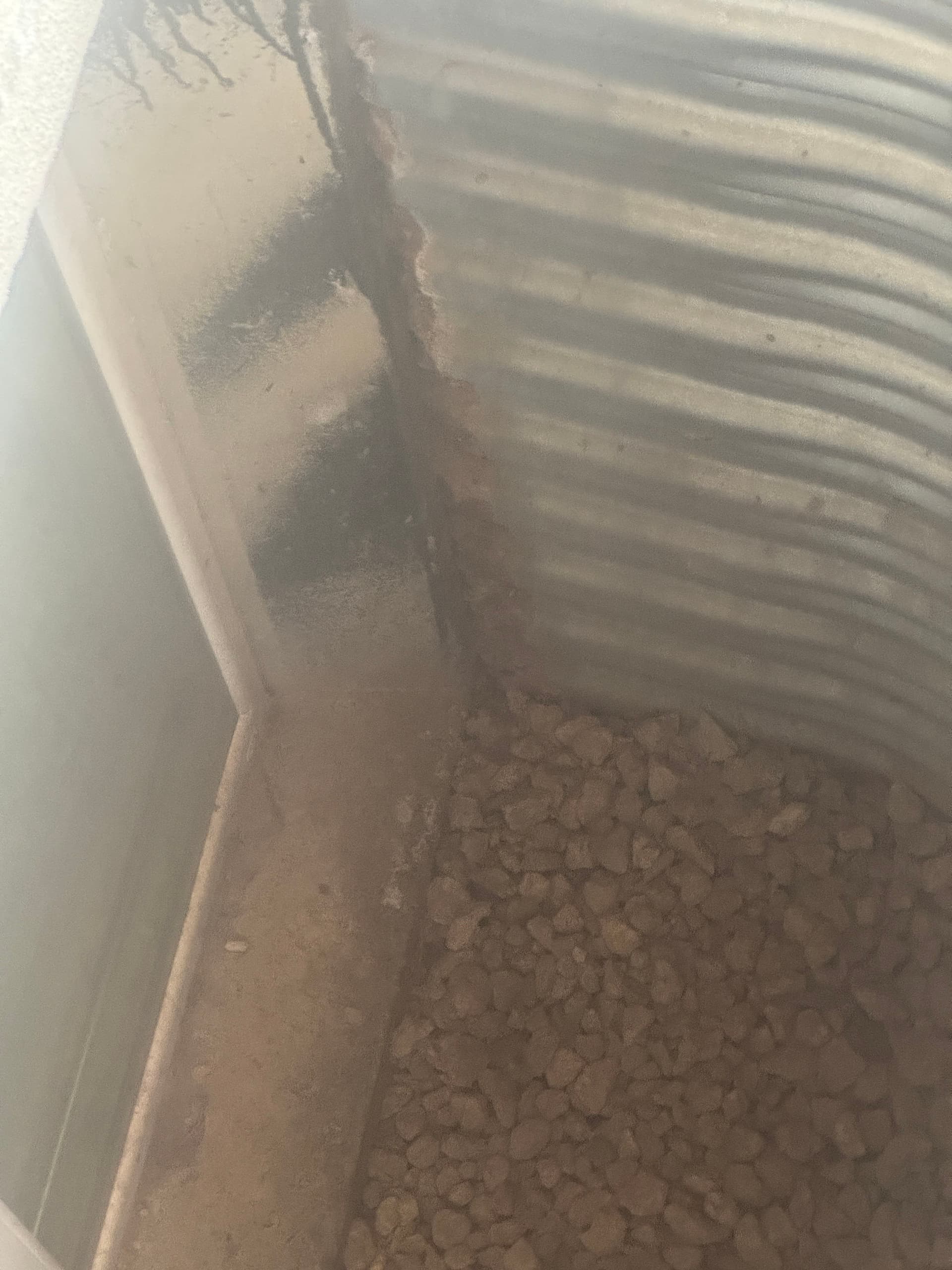 What a Window Well Inspection Actually Turns Up in Denver image