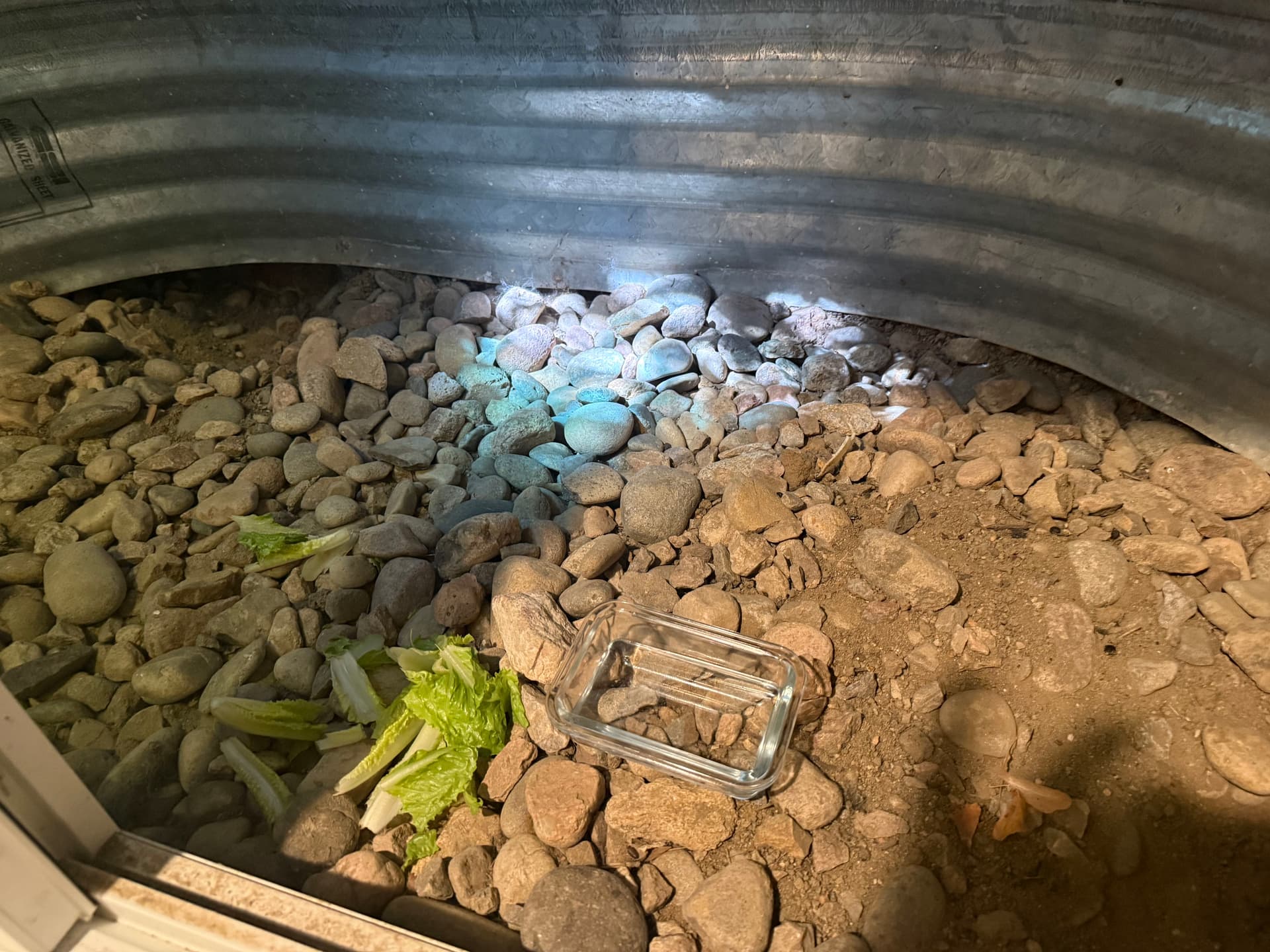 Gallery photos for What a Window Well Inspection Actually Turns Up in Denver: Image #5