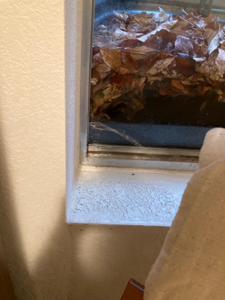 Gallery photos for Say Goodbye to Window Moisture Issues: Image #2