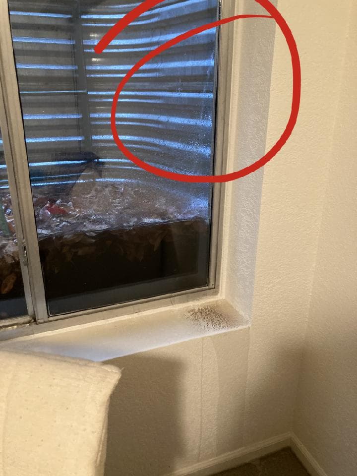 Gallery photos for Say Goodbye to Window Moisture Issues: Image #3